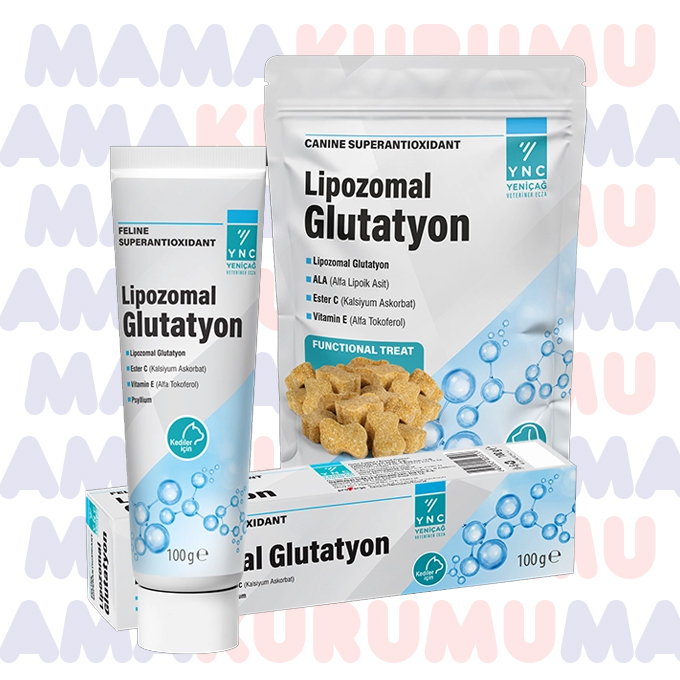 Yeniçağ YNC Lipozomal Glutatyon Kedi Bağışıklık Güçlendirici
